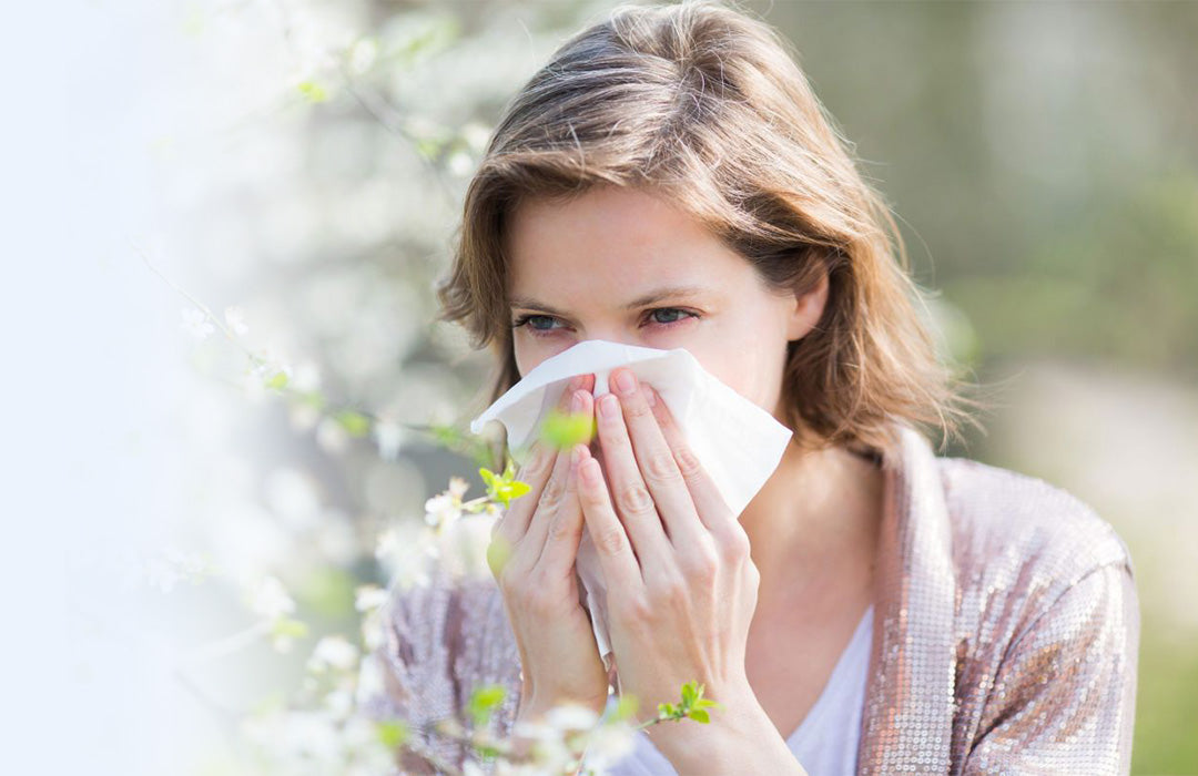 Hayfever & Allergy Relief.