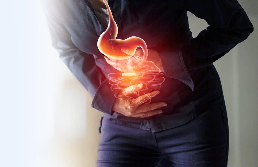 Digestion & Indigestion.