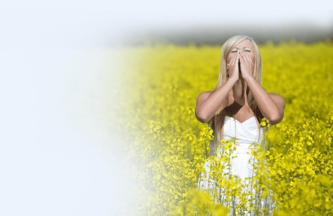 Buy Hay Fever/Allergies Treatment