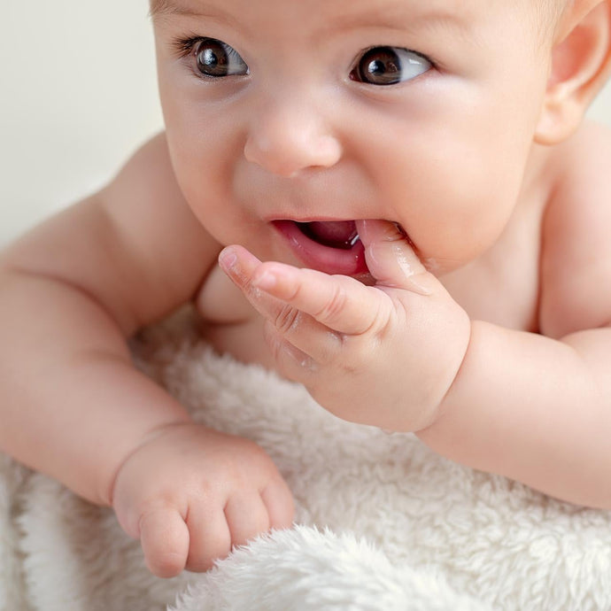 Ashton and Parsons Teething Powder How Does It Work