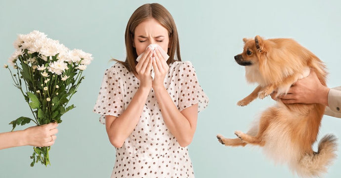 Seasonal Allergies: Their Symptoms and how to prevent them