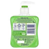 2Carex Aloe Vera Antibacterial Hand Wash 250ml