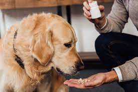 Pet Prescription Medication Comings SOON!!