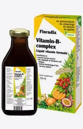 Floradix Vitamin B Complex 250ml