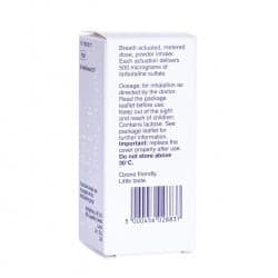Buy Bricanyl Turbohaler Online - Asthma